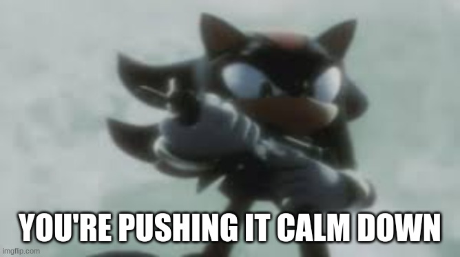 Shadow the hedgehog with a gun | YOU'RE PUSHING IT CALM DOWN | image tagged in shadow the hedgehog with a gun | made w/ Imgflip meme maker