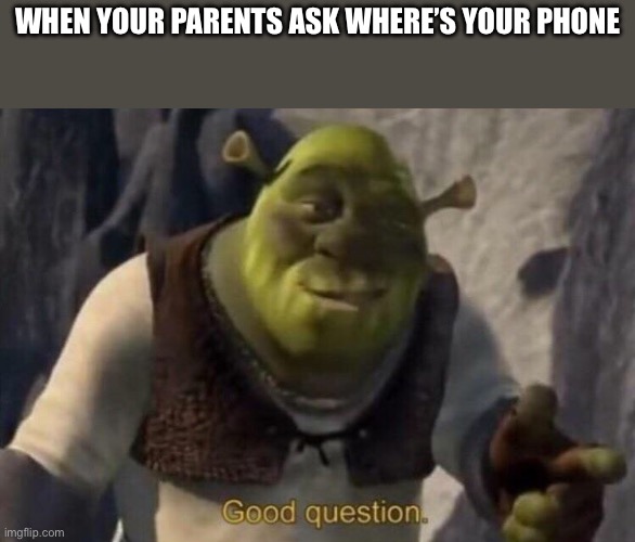 Shrek good question | WHEN YOUR PARENTS ASK WHERE’S YOUR PHONE | image tagged in shrek good question | made w/ Imgflip meme maker