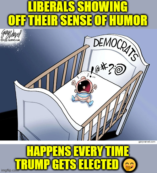 Crybabies | LIBERALS SHOWING OFF THEIR SENSE OF HUMOR; HAPPENS EVERY TIME TRUMP GETS ELECTED 🤭 | image tagged in liberals,no sense of humor,no integrity,no honesty | made w/ Imgflip meme maker