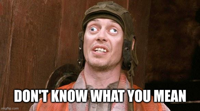 Steve Buscemi | DON'T KNOW WHAT YOU MEAN | image tagged in steve buscemi | made w/ Imgflip meme maker