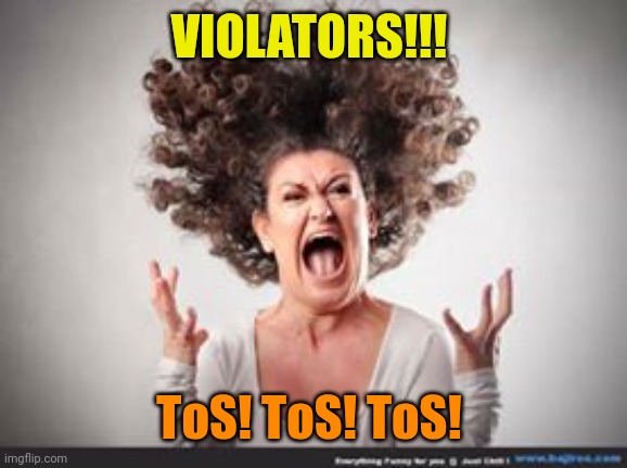 Crazy woman | VIOLATORS!!! ToS! ToS! ToS! | image tagged in crazy woman | made w/ Imgflip meme maker