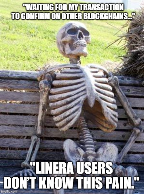 "Waiting for my transaction to confirm on other blockchains..." | "WAITING FOR MY TRANSACTION TO CONFIRM ON OTHER BLOCKCHAINS..."; "LINERA USERS DON’T KNOW THIS PAIN." | image tagged in memes,waiting skeleton | made w/ Imgflip meme maker