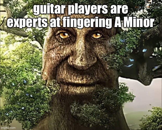 tree | guitar players are experts at fingering A Minor | image tagged in tree | made w/ Imgflip meme maker