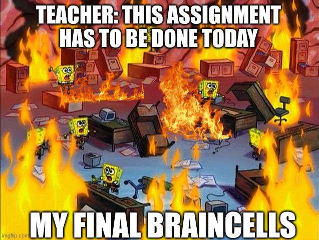 spongebob fire | TEACHER: THIS ASSIGNMENT HAS TO BE DONE TODAY; MY FINAL BRAINCELLS | image tagged in spongebob fire | made w/ Imgflip meme maker