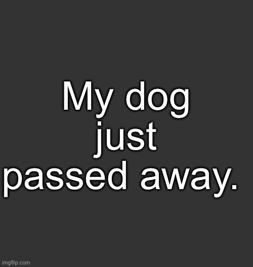 Blank Dark Mode Square | My dog just passed away. | image tagged in blank dark mode square | made w/ Imgflip meme maker