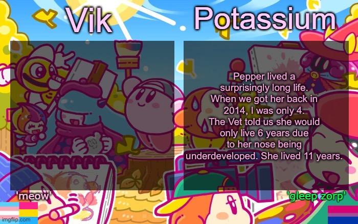 Viktassium Kirby template | Pepper lived a surprisingly long life. When we got her back in 2014, I was only 4. The Vet told us she would only live 6 years due to her nose being underdeveloped. She lived 11 years. | image tagged in viktassium kirby template | made w/ Imgflip meme maker