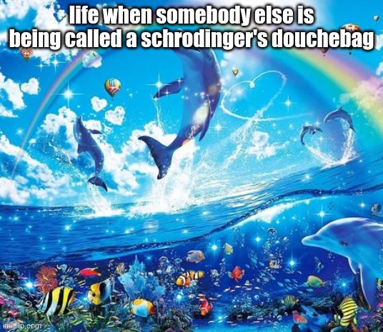 Symphony Meme | life when somebody else is being called a schrodinger's douchebag | image tagged in symphony meme | made w/ Imgflip meme maker