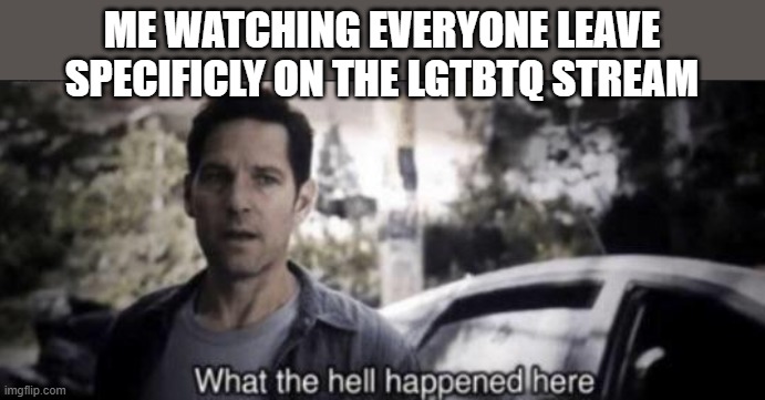 What the hell happened here | ME WATCHING EVERYONE LEAVE SPECIFICLY ON THE LGTBTQ STREAM | image tagged in what the hell happened here | made w/ Imgflip meme maker