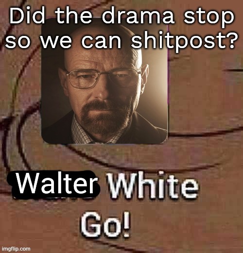 Walter White Go! | Did the drama stop so we can shitpost? | image tagged in walter white go | made w/ Imgflip meme maker