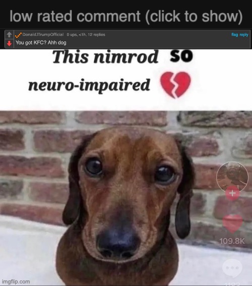 People who make fun of another person's dog dying are def one of the the worst kind of people | image tagged in this nimrod so neuro-impaired | made w/ Imgflip meme maker