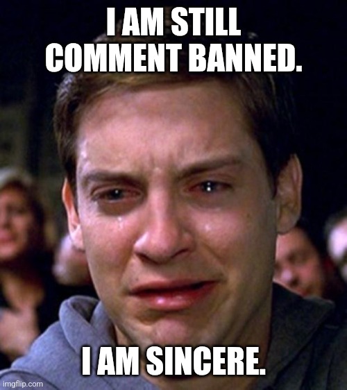 crying peter parker | I AM STILL COMMENT BANNED. I AM SINCERE. | image tagged in crying peter parker | made w/ Imgflip meme maker