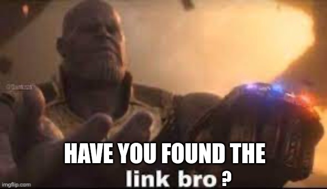 ? HAVE YOU FOUND THE | image tagged in link bro | made w/ Imgflip meme maker