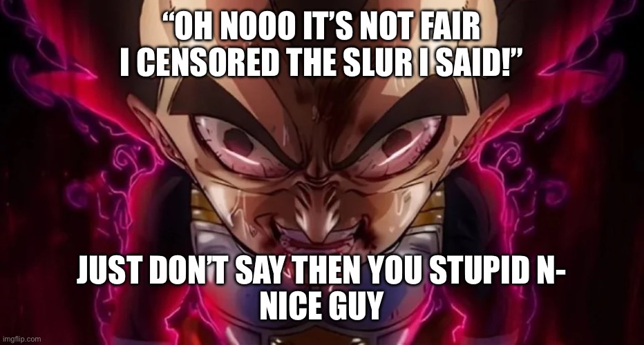 vegeta drool | “OH NOOO IT’S NOT FAIR I CENSORED THE SLUR I SAID!”; JUST DON’T SAY THEN YOU STUPID N-
NICE GUY | image tagged in vegeta drool | made w/ Imgflip meme maker