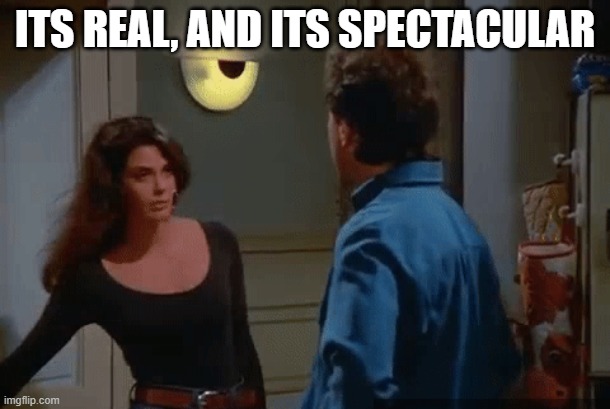 Seinfeld Terry Hatcher Real and Spectacular | ITS REAL, AND ITS SPECTACULAR | image tagged in they're real and they're spectacular | made w/ Imgflip meme maker