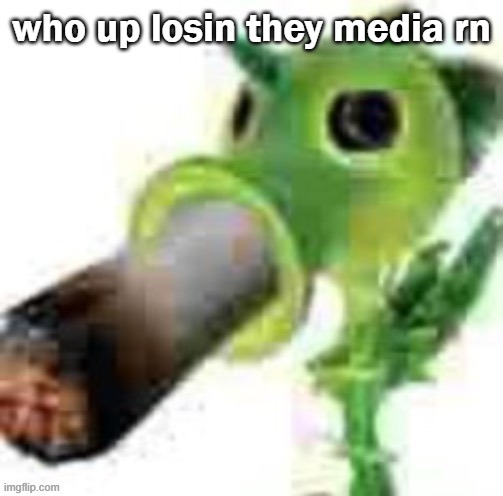 mp3.mp3 | who up losin they media rn | image tagged in high peashooter | made w/ Imgflip meme maker
