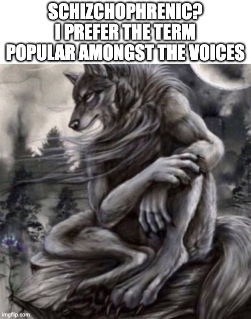 Alpha wolf | SCHIZCHOPHRENIC?
I PREFER THE TERM POPULAR AMONGST THE VOICES | image tagged in alpha wolf | made w/ Imgflip meme maker