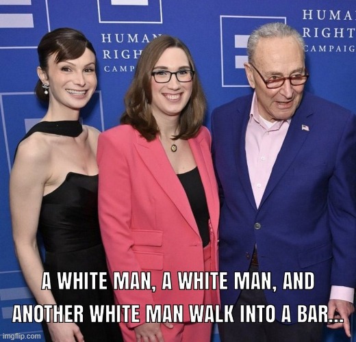 LMAO! | image tagged in dillon,sarah mcbride,chuck schumer,guys,walked into a bar,political humor | made w/ Imgflip meme maker