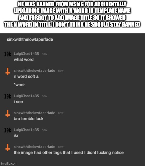 HE WAS BANNED FROM MSMG FOR ACCIDENTALLY UPLOADING IMAGE WITH N WORD IN TEMPLATE NAME AND FORGOT TO ADD IMAGE TITLE SO IT SHOWED THE N WORD IN TITLE. I DON'T THINK HE SHOULD STAY BANNED | made w/ Imgflip meme maker