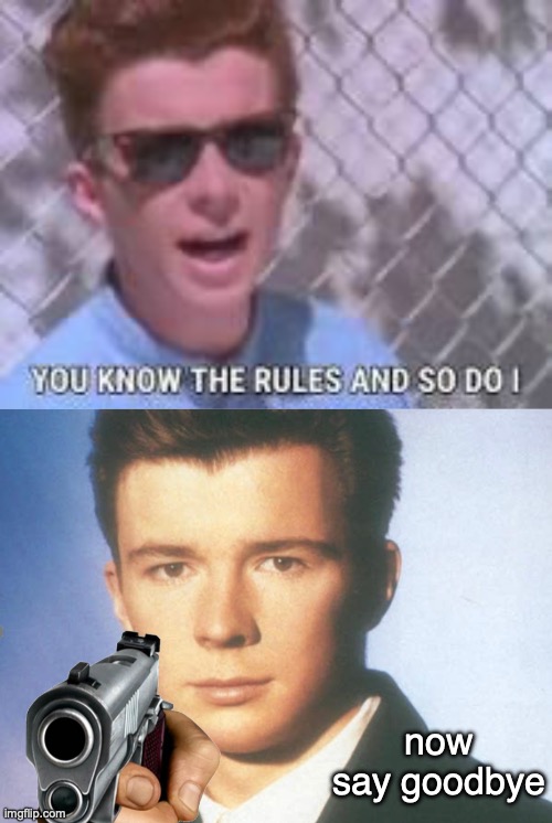 now say goodbye | image tagged in you know the rules and so do i,you know the rules and so do i say goodbye | made w/ Imgflip meme maker
