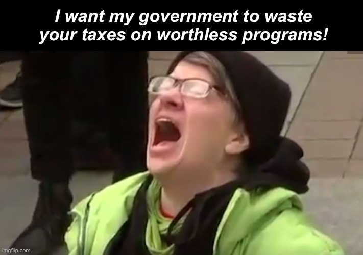 We need to waste more | I want my government to waste your taxes on worthless programs! | image tagged in screaming liberal,politics lol,memes | made w/ Imgflip meme maker