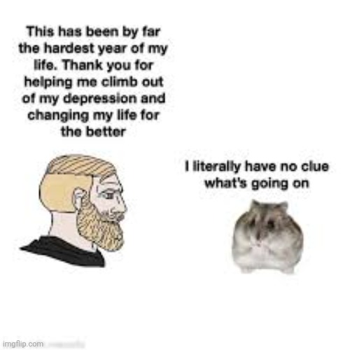 Hampter lore | made w/ Imgflip meme maker