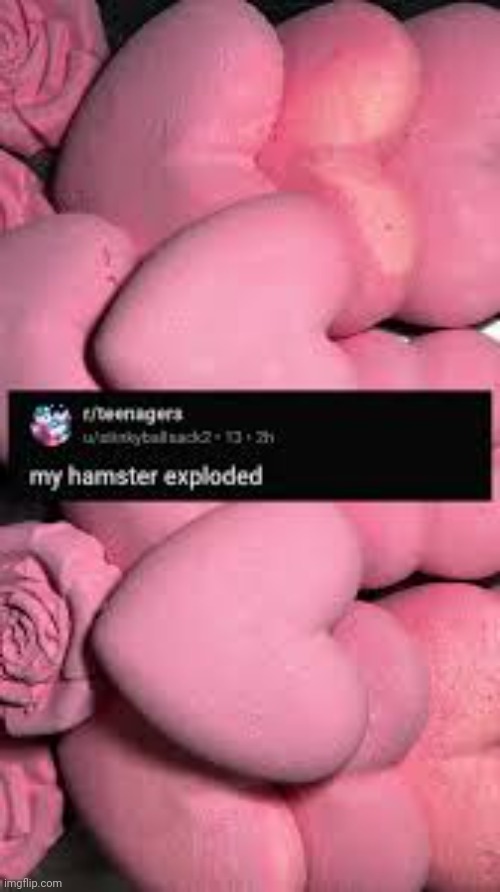 Hamsters cannot die properly | made w/ Imgflip meme maker