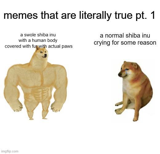 memes that are literally true pt. 1 | memes that are literally true pt. 1; a swole shiba inu
with a human body
 covered with fur with actual paws; a normal shiba inu crying for some reason | image tagged in memes,buff doge vs cheems | made w/ Imgflip meme maker