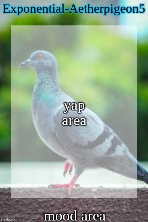 Exponential-Aetherpigeon5 | yap area; mood area | image tagged in exponential-aetherpigeon5 | made w/ Imgflip meme maker