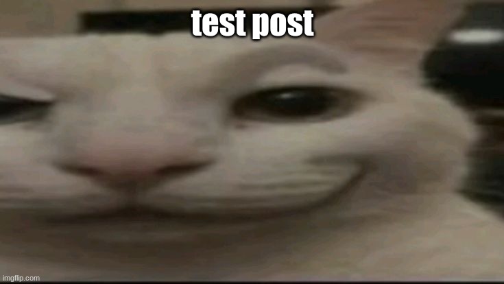 cat. | test post | image tagged in cat | made w/ Imgflip meme maker