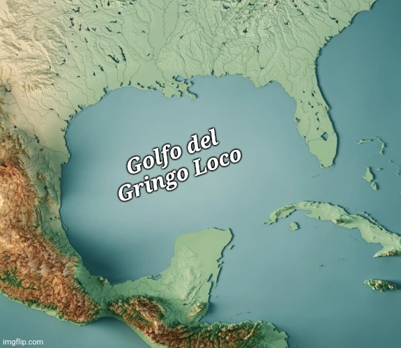 Gulf of Trumplestiltskin | Golfo del
Gringo Loco | image tagged in gulf of blank | made w/ Imgflip meme maker