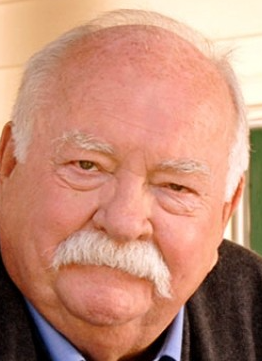 Wilford brimly diabetes commerical Blank Meme Template