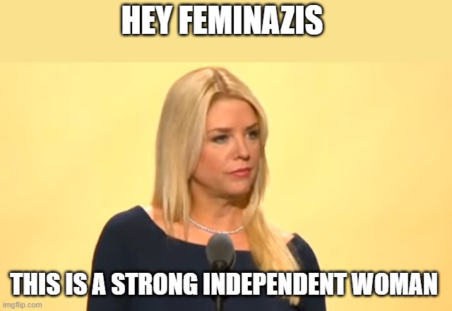 HEY FEMINAZIS; THIS IS A STRONG INDEPENDENT WOMAN | made w/ Imgflip meme maker