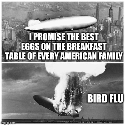 Maybe the CDC is worth keeping after all? | I PROMISE THE BEST EGGS ON THE BREAKFAST TABLE OF EVERY AMERICAN FAMILY; BIRD FLU | image tagged in blimp explosion,eggs,bird flu,breakfast,market failure,cdc | made w/ Imgflip meme maker