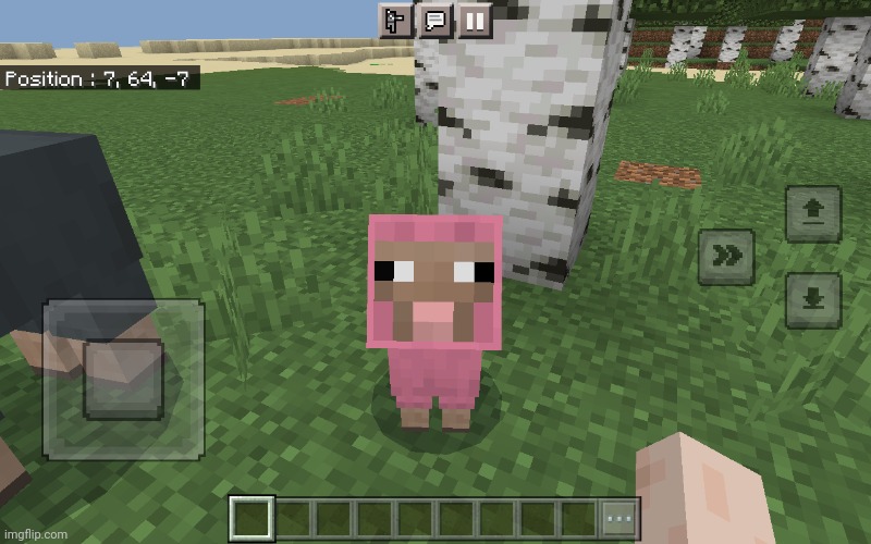 I found a BABY PINK SHEEP in Minecraft when I just created my world (happened in January 2023) | image tagged in minecraft,pink sheep,luck,rare,baby pink sheep | made w/ Imgflip meme maker