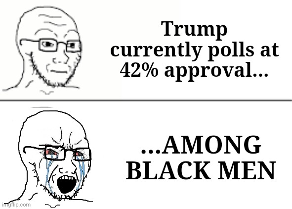 Doom for Dems | Trump currently polls at 42% approval... ...AMONG BLACK MEN | image tagged in soyjak,trump supporters,donald trump huge,trump meme | made w/ Imgflip meme maker