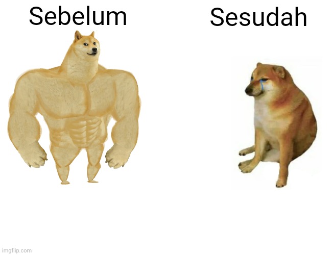 Buff Doge vs. Cheems | Sebelum; Sesudah | image tagged in memes,buff doge vs cheems | made w/ Imgflip meme maker