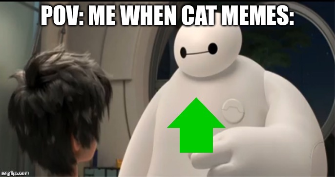 Baymax upvote | POV: ME WHEN CAT MEMES: | image tagged in baymax upvote | made w/ Imgflip meme maker