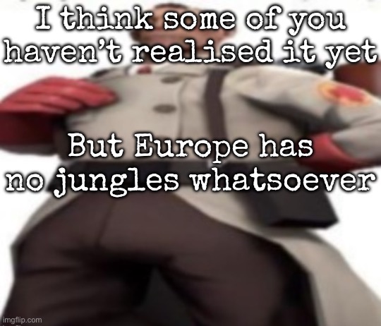 There’s only like 1 or 2 | I think some of you haven’t realised it yet; But Europe has no jungles whatsoever | image tagged in ze medic,msmg | made w/ Imgflip meme maker