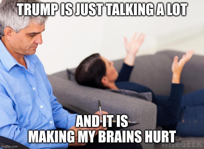 Therapist, notes | TRUMP IS JUST TALKING A LOT; AND IT IS MAKING MY BRAINS HURTS | image tagged in therapist notes,trump,donald trump | made w/ Imgflip meme maker