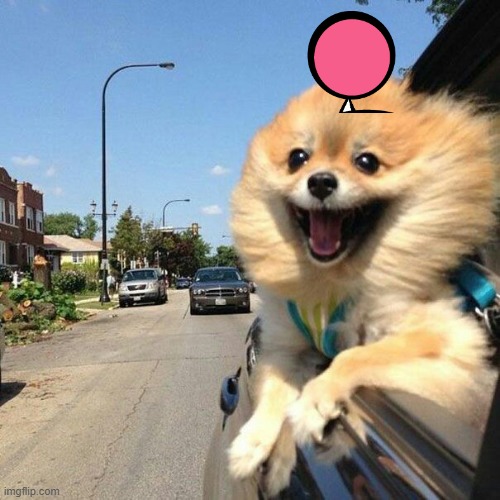 The other Bomberanian.mp3 | image tagged in smiling pomeranian | made w/ Imgflip meme maker