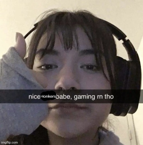 Nice dick babe, gaming rn tho | Honkers | image tagged in nice dick babe gaming rn tho | made w/ Imgflip meme maker