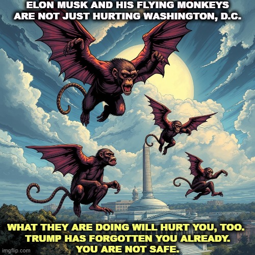 ELON MUSK AND HIS FLYING MONKEYS ARE NOT JUST HURTING WASHINGTON, D.C. WHAT THEY ARE DOING WILL HURT YOU, TOO. 
TRUMP HAS FORGOTTEN YOU ALREADY.
YOU ARE NOT SAFE. | image tagged in trump,elon musk,destroy,social security,medicare,maga | made w/ Imgflip meme maker