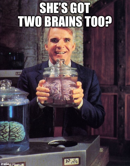 Steve Martin - Man With Two Brains | SHE’S GOT TWO BRAINS TOO? | image tagged in steve martin - man with two brains | made w/ Imgflip meme maker