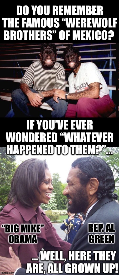 They found ‘em! | REP. AL
GREEN; “BIG MIKE”
OBAMA | image tagged in political meme | made w/ Imgflip meme maker