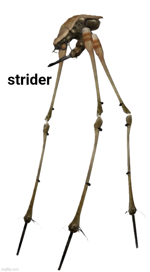 hl2 strider | strider | image tagged in hl2 strider | made w/ Imgflip meme maker