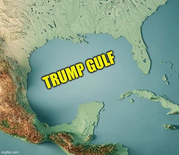 Gulf of What? | TRUMP GULF | image tagged in gulf of what | made w/ Imgflip meme maker