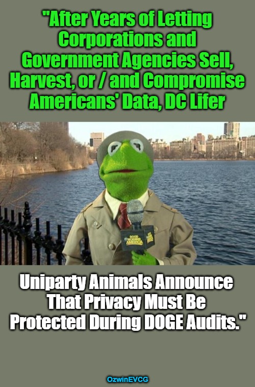 [Why Must I Live in a Country with Someone as Comprehensively Idiotic and Ugly as Maxine Waters = Audible to Anyone...] | "After Years of Letting 

Corporations and 

Government Agencies Sell, 

Harvest, or / and Compromise 

Americans' Data, DC Lifer; Uniparty Animals Announce 

That Privacy Must Be 

Protected During DOGE Audits."; OzwinEVCG | image tagged in kermit news report,doge,dc uniparty,uniparty animals,government corruption,politicians suck | made w/ Imgflip meme maker