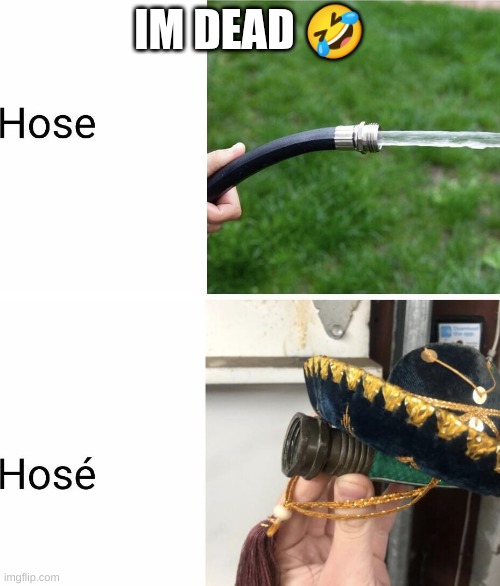 HOSE | IM DEAD 🤣 | image tagged in hose,meme,funny memes | made w/ Imgflip meme maker