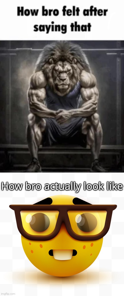 How bro actually look like | image tagged in how bro felt after saying that,nerd emoji | made w/ Imgflip meme maker