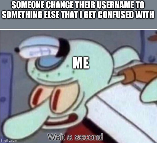 Sometimes it’s true | SOMEONE CHANGE THEIR USERNAME TO SOMETHING ELSE THAT I GET CONFUSED WITH; ME | image tagged in squidward wait a second | made w/ Imgflip meme maker